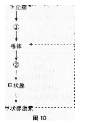 题目图片