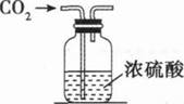 题目图片