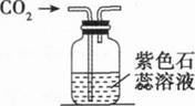 题目图片