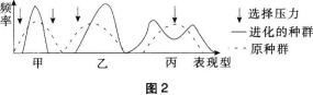题目图片