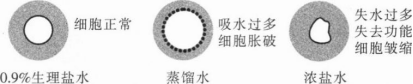 题目图片