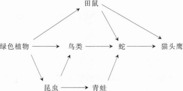 题目图片