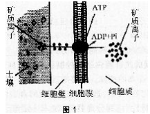题目图片