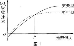 题目图片