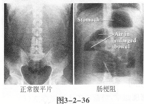 题目图片