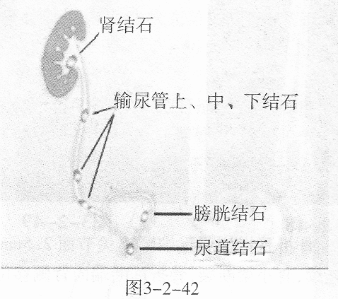 题目图片