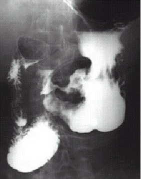 题目图片