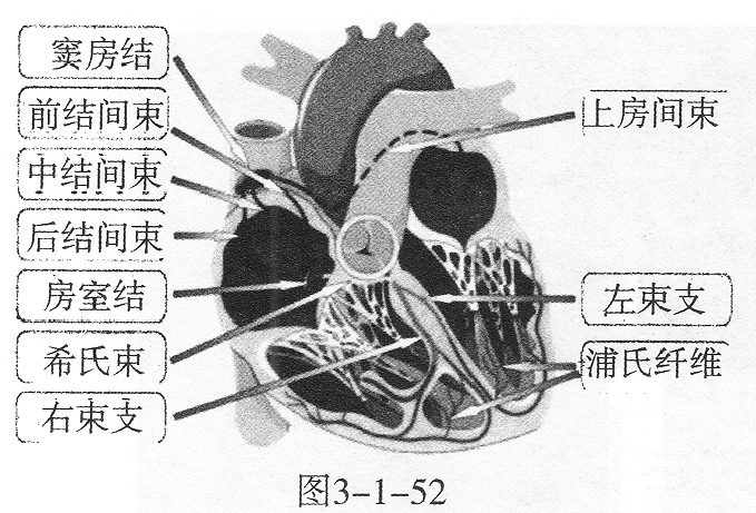 题目图片