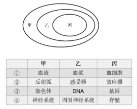 题目图片