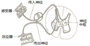 题目图片