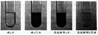 题目图片
