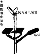 题目图片
