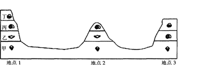 题目图片