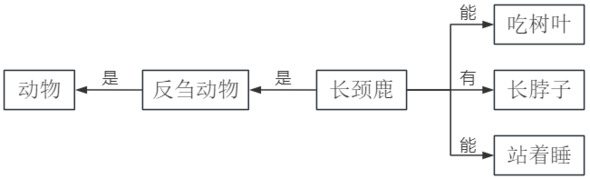 题目图片