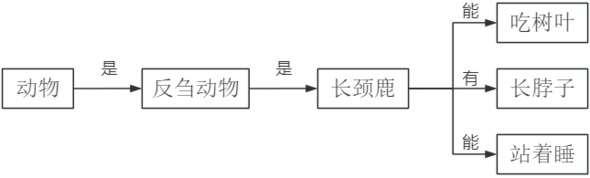 题目图片