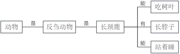 题目图片