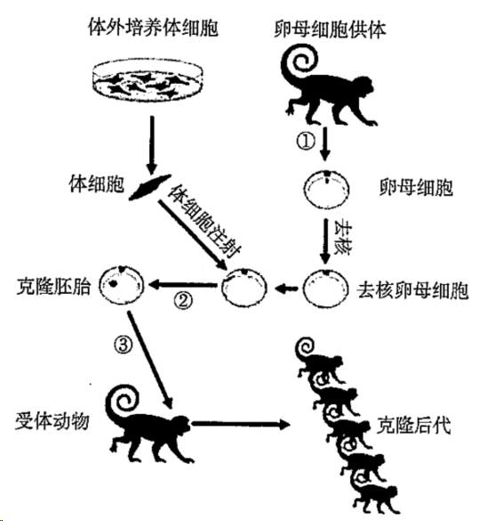 题目图片