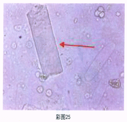 题目图片