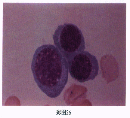 题目图片