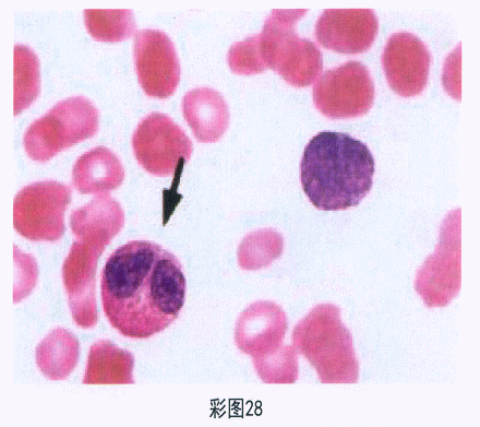 题目图片