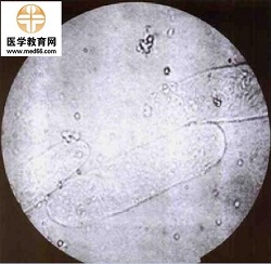 题目图片