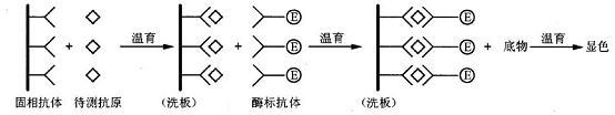 题目图片