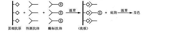 题目图片