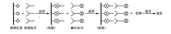 题目图片