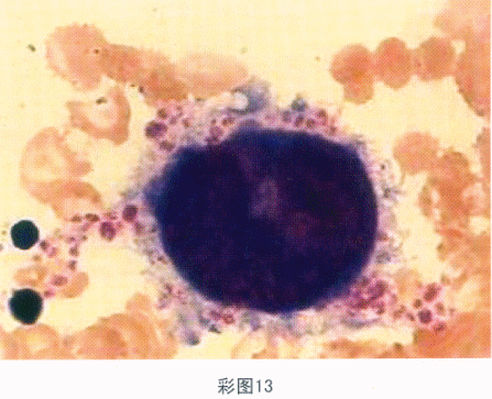 题目图片