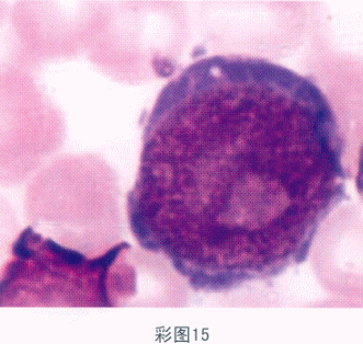 题目图片