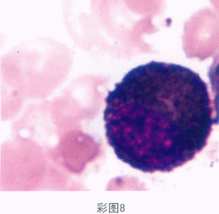 题目图片