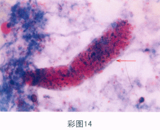 题目图片