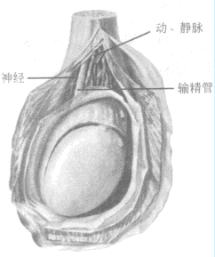题目图片