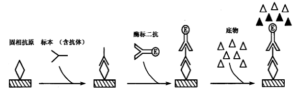 题目图片