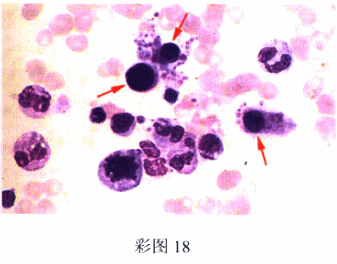 题目图片