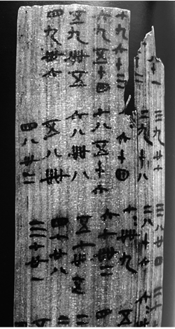 题目图片