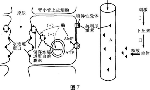 题目图片