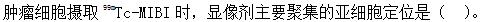 题目图片