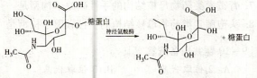 题目图片