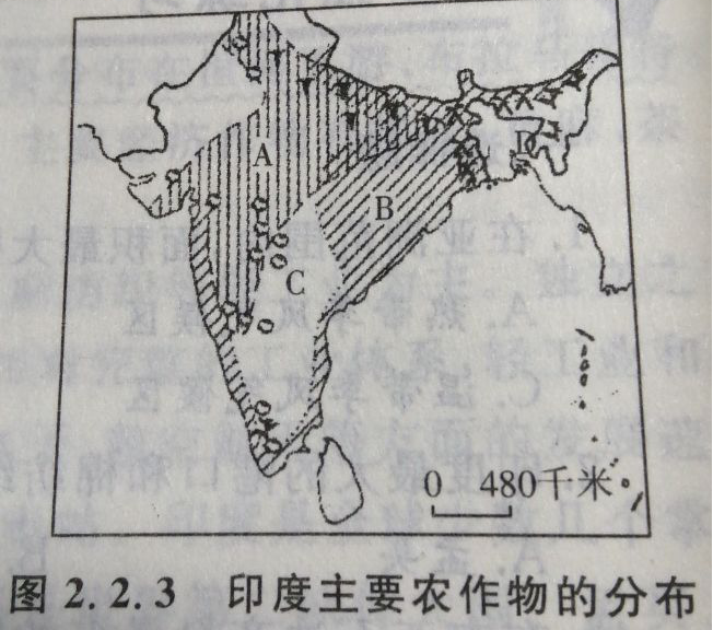 题目图片