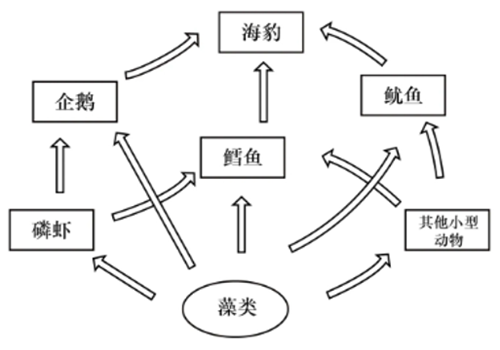 题目图片