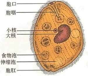 题目图片