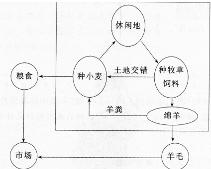 题目图片