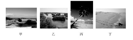 题目图片