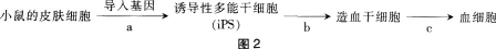 题目图片