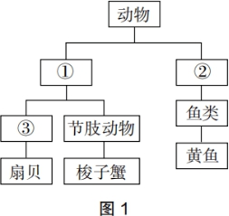 题目图片
