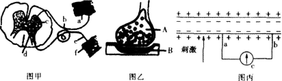 题目图片