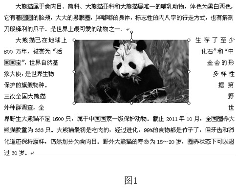 题目图片