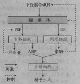 题目图片