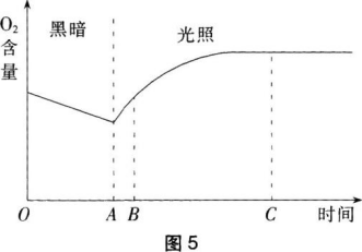 题目图片